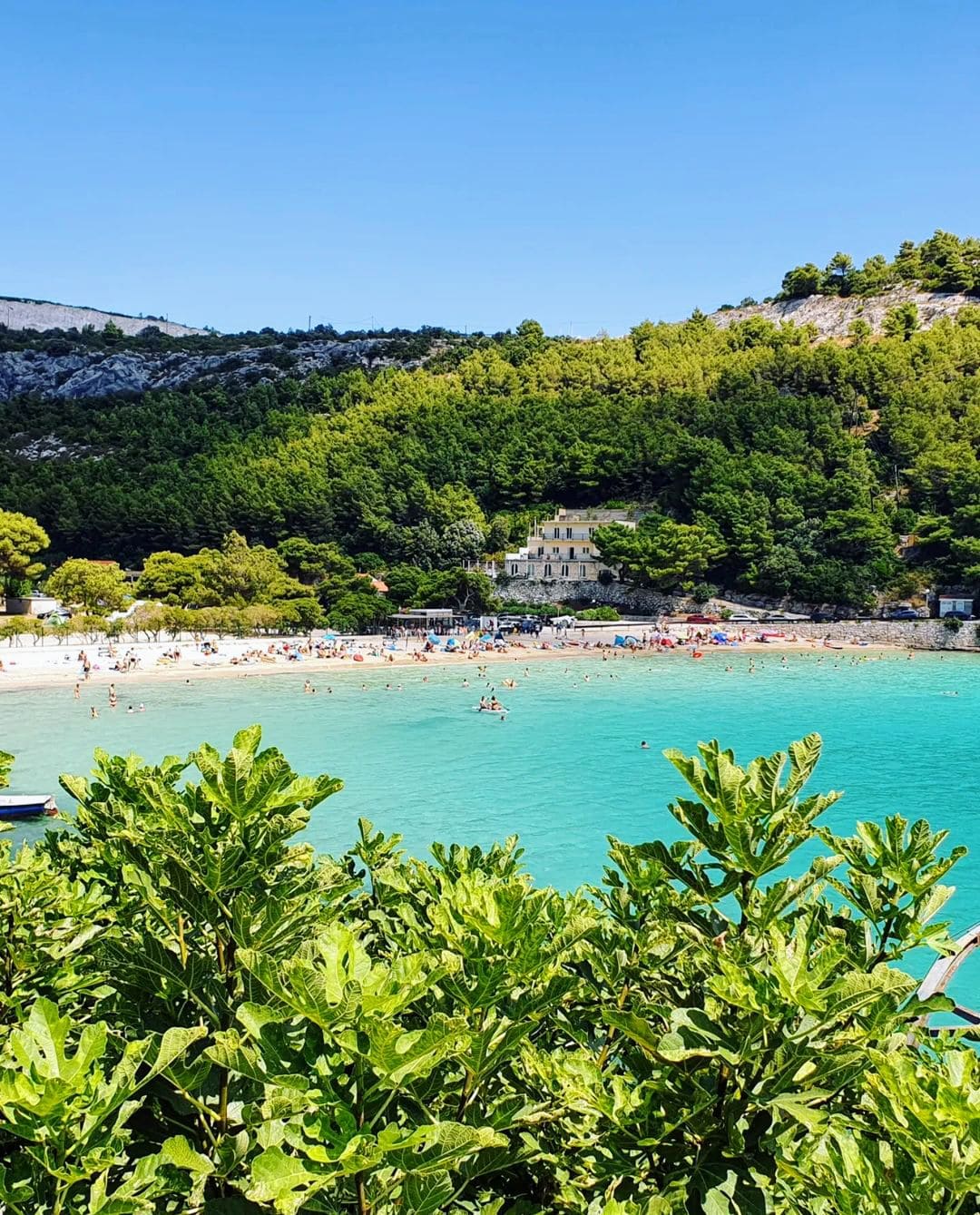 Secluded sands at Prapratno Beach, a hidden gem in Croatia