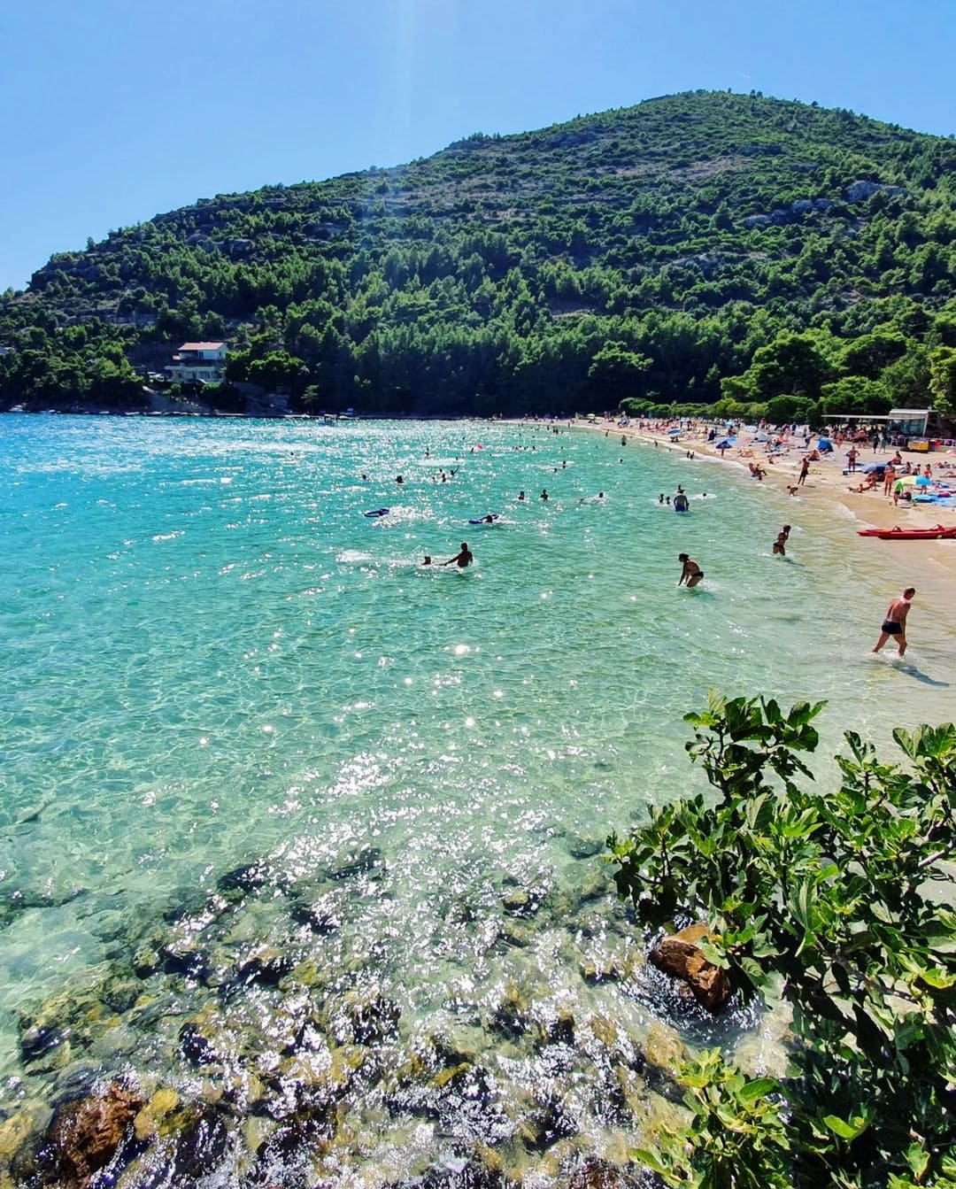 People enjoying at Prapratno Beach in Croatia