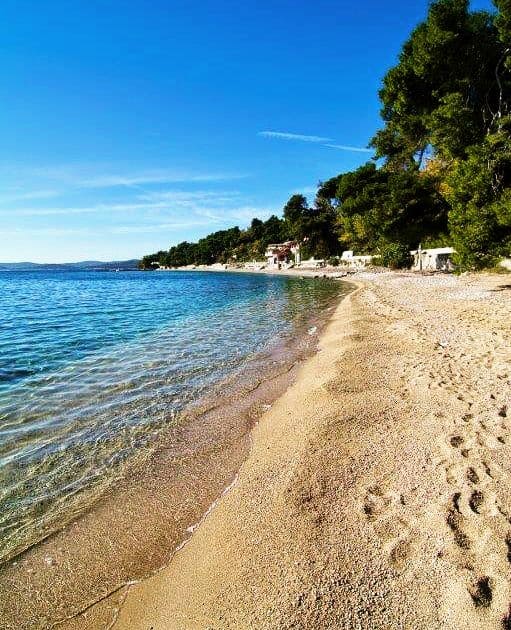 Palm trees and sand at Trstenica Beach in Croatia