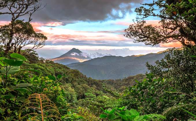 Monteverde's lush cloud forests and eco-tourism sights